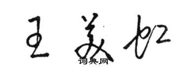 駱恆光王美虹草書個性簽名怎么寫