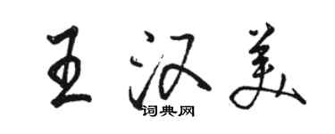 駱恆光王漢美行書個性簽名怎么寫