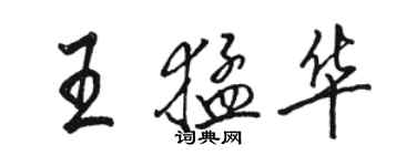 駱恆光王猛華行書個性簽名怎么寫