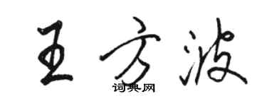 駱恆光王方波行書個性簽名怎么寫