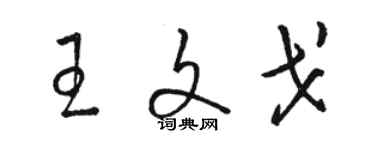 駱恆光王文戈草書個性簽名怎么寫