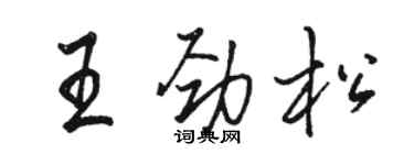 駱恆光王勁松行書個性簽名怎么寫