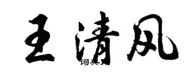 胡問遂王清風行書個性簽名怎么寫