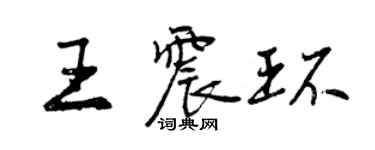 曾慶福王震環行書個性簽名怎么寫