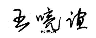 朱錫榮王喨誼草書個性簽名怎么寫