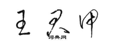 駱恆光王君甲草書個性簽名怎么寫