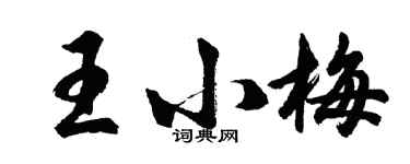 胡問遂王小梅行書個性簽名怎么寫