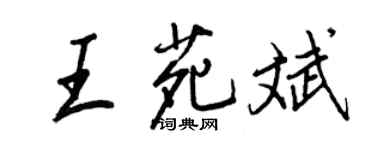 王正良王苑斌行書個性簽名怎么寫