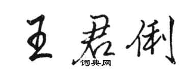 駱恆光王君俐行書個性簽名怎么寫
