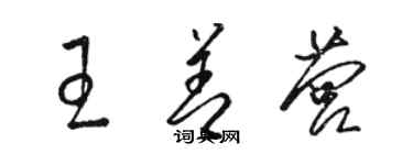 駱恆光王善營草書個性簽名怎么寫