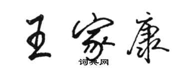 駱恆光王家康行書個性簽名怎么寫