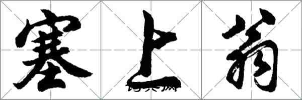 胡問遂塞上翁行書怎么寫