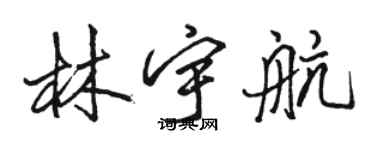 駱恆光林宇航行書個性簽名怎么寫