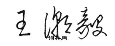 駱恆光王潮毅草書個性簽名怎么寫