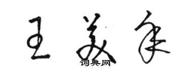 駱恆光王美年草書個性簽名怎么寫