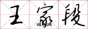 王家段怎么寫好看