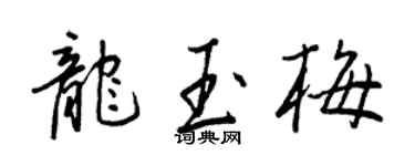 王正良龍玉梅行書個性簽名怎么寫