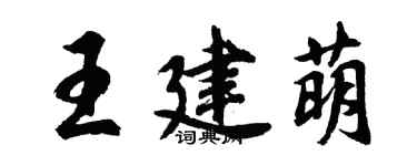 胡問遂王建萌行書個性簽名怎么寫