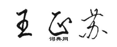 駱恆光王正蘇行書個性簽名怎么寫