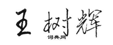 駱恆光王樹輝行書個性簽名怎么寫