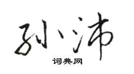 駱恆光孫沛行書個性簽名怎么寫