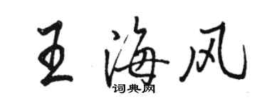 駱恆光王海風行書個性簽名怎么寫