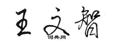 駱恆光王文智行書個性簽名怎么寫