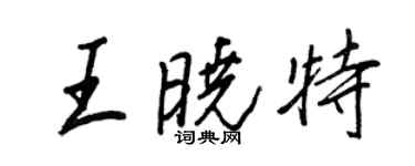 王正良王曉特行書個性簽名怎么寫