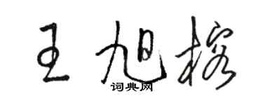 駱恆光王旭榕草書個性簽名怎么寫