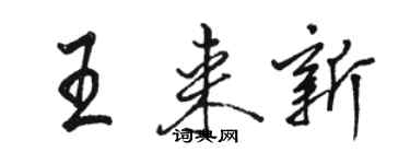 駱恆光王來新行書個性簽名怎么寫