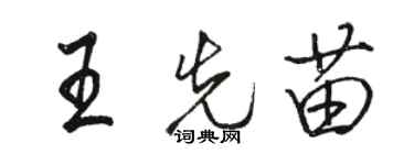 駱恆光王先苗行書個性簽名怎么寫