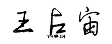 曾慶福王占宙行書個性簽名怎么寫