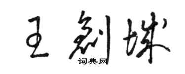 駱恆光王創城草書個性簽名怎么寫