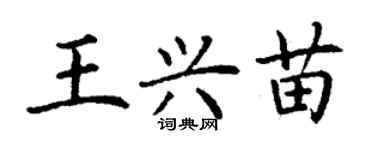 丁謙王興苗楷書個性簽名怎么寫