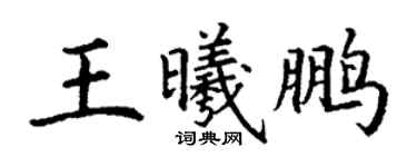 丁謙王曦鵬楷書個性簽名怎么寫