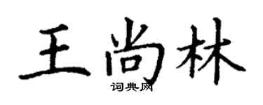 丁謙王尚林楷書個性簽名怎么寫