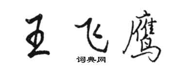 駱恆光王飛鷹行書個性簽名怎么寫