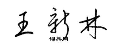 梁錦英王新林草書個性簽名怎么寫