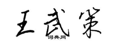 王正良王武策行書個性簽名怎么寫
