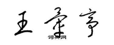 梁錦英王暈亭草書個性簽名怎么寫