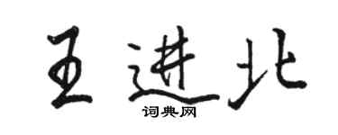 駱恆光王進北行書個性簽名怎么寫