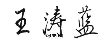 駱恆光王濤藍行書個性簽名怎么寫