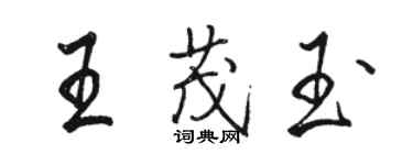 駱恆光王茂玉行書個性簽名怎么寫