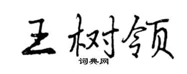 曾慶福王樹領行書個性簽名怎么寫