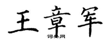 丁謙王章軍楷書個性簽名怎么寫