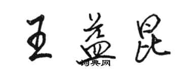 駱恆光王益昆行書個性簽名怎么寫