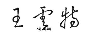 駱恆光王雲特草書個性簽名怎么寫