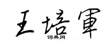 王正良王培軍行書個性簽名怎么寫