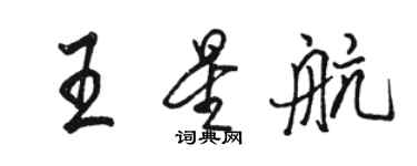 駱恆光王星航行書個性簽名怎么寫