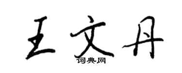王正良王文丹行書個性簽名怎么寫